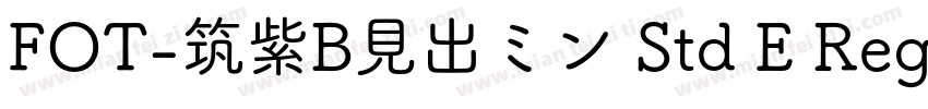 FOT-筑紫B見出ミン Std E Regular字体转换